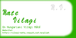 mate vilagi business card