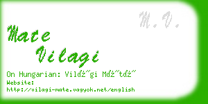 mate vilagi business card